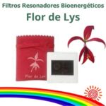 Filtro Flor de Lys. Filtro de Resonan