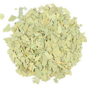 Eucalyptus Leaf OG 2019 04 16  89572