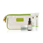eminence organics bright skin starter set bag with products pdp