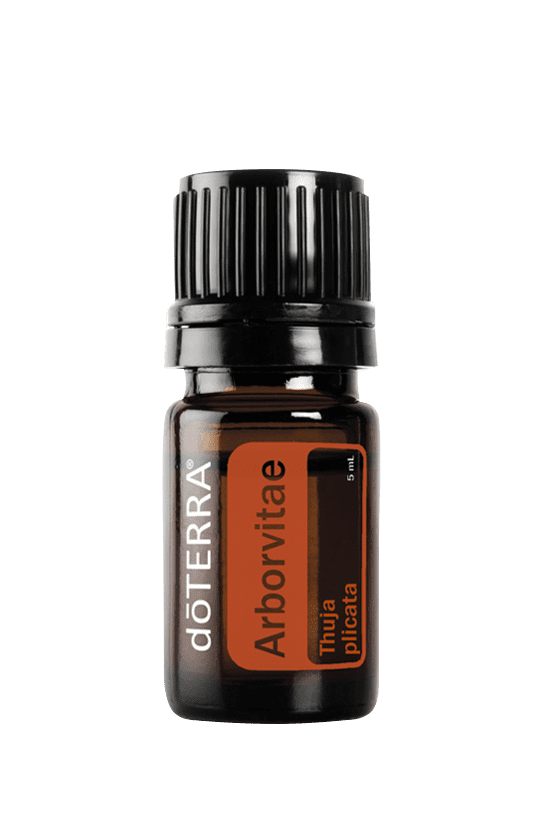 Arborvitae 5 ml