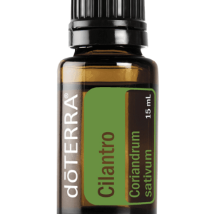 Cilantro 15 ml