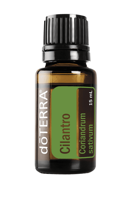 Cilantro 15 ml
