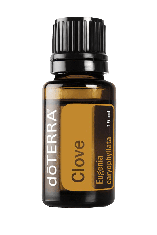 Clove (clavo) 15ml
